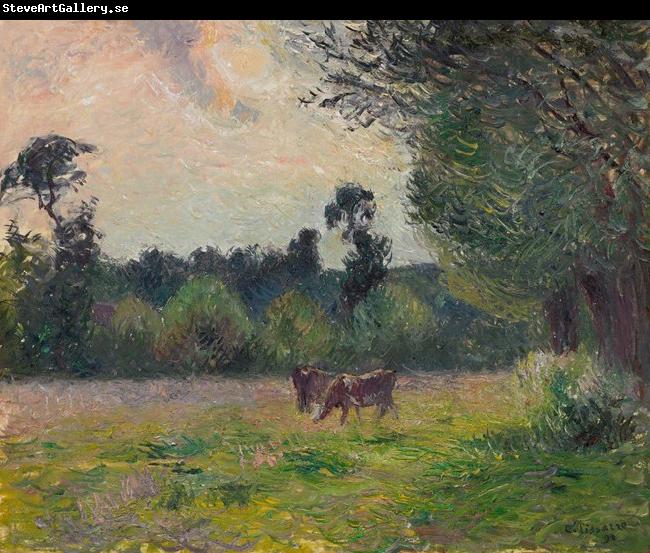 Camille Pissarro Vaches dans un pre, soleil couchant